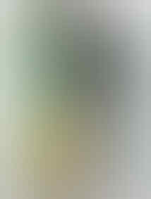 dijual gamis, dress, dan blous cantik