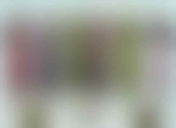 dijual gamis, dress, dan blous cantik