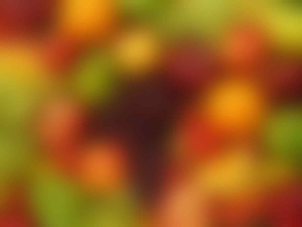 Beda Warna Buah & Sayur, Lain Pula Khasiatnya