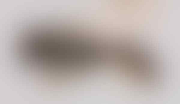 Waspada, Lebah Ini Mengincar Keringat dan Air Mata Manusia