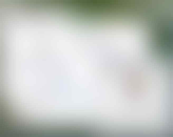 Jual Beli Zeny, Item and ID Ragnarok Online Server Fnc - 1 hari = 1x post - Part 2