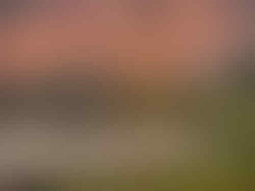 5 Megaproyek Kontruksi Terlama Di Dunia