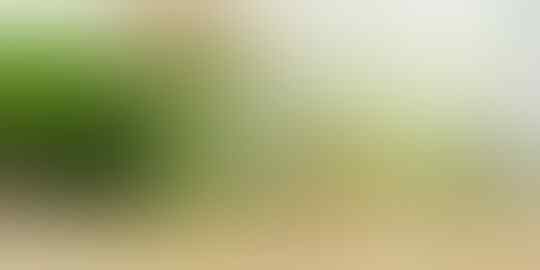 4 Kemampuan yang harus dimiliki sebelum menikah