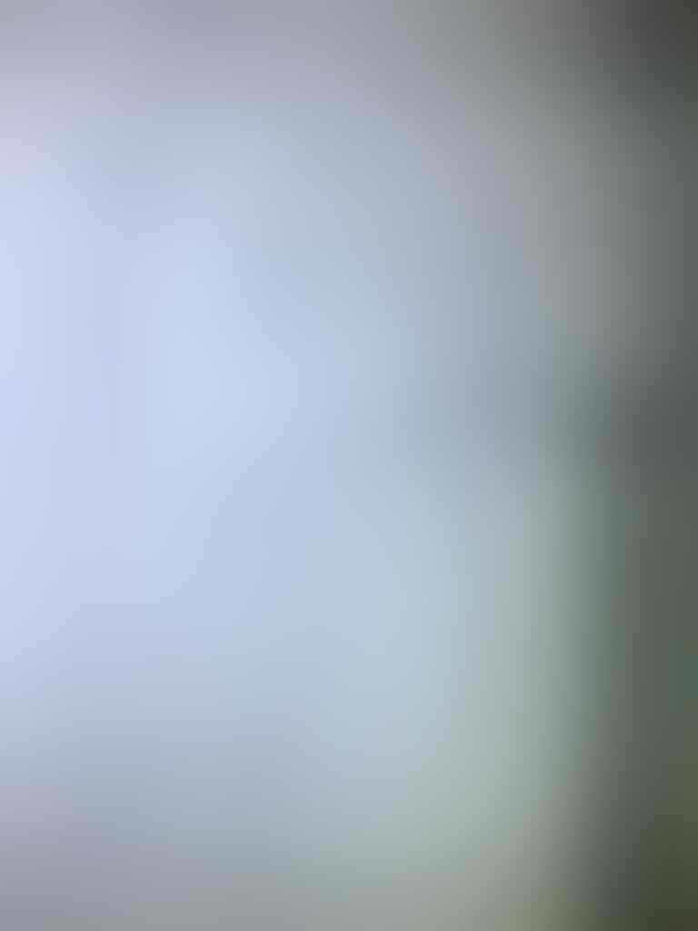 Samsung Galaxy Wonder (W) GT-I8150
