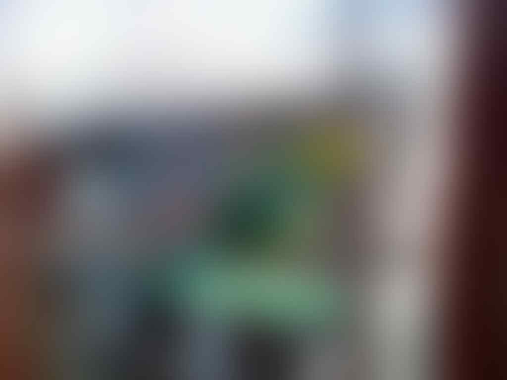 Terjual Burung Cucak Ijo Medan Kepala Kuning Kaskus