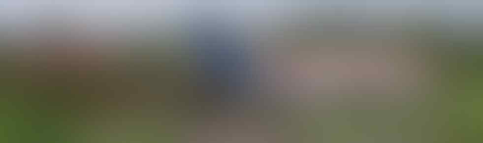 Jambi 2008 Hidden Story