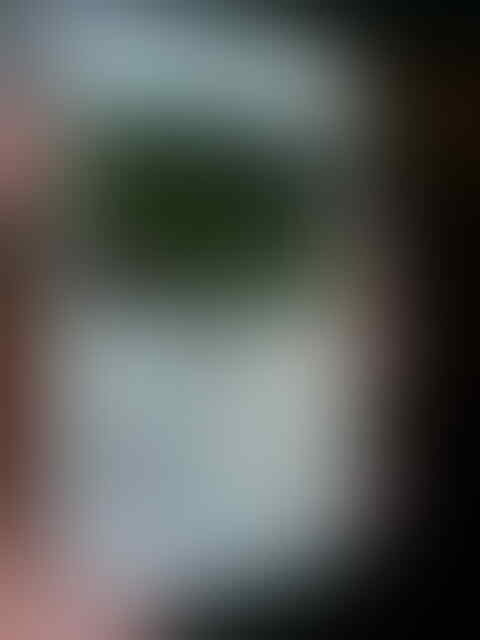 BANDUNG - BLACKBERRY 8520 GEMINI - MURAH,CUMA 750RB MASIH SEGEL TAM - BANDUNG
