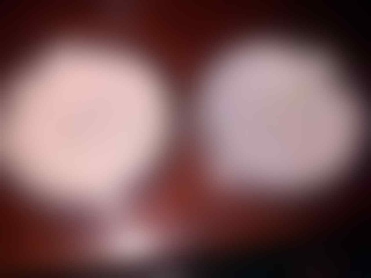 AYO BERTANAM CABE HOT EKSOTIS Page 370 KASKUS
