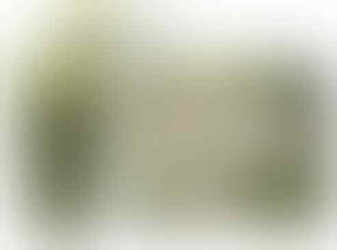 7 Cara Alami Terbaik Menghilangkan Bekas Luka