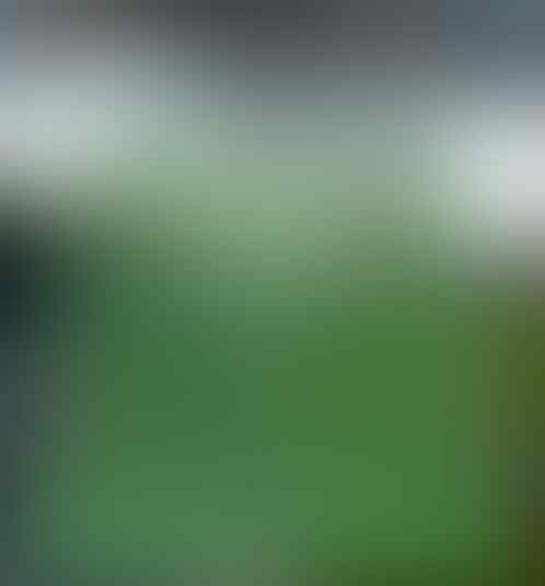 PES - Association Football Indonesia