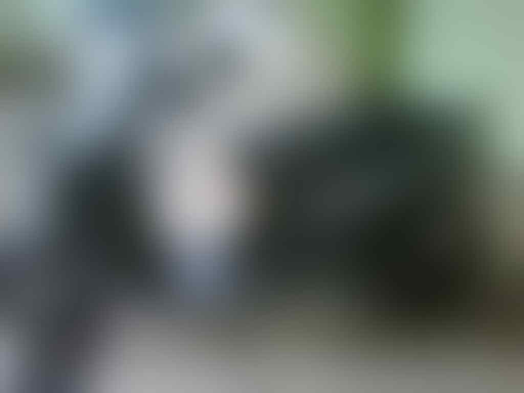 MIO Th.2009 Hitam