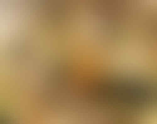 20 jenis makanan yang bikin kita lebih pandai