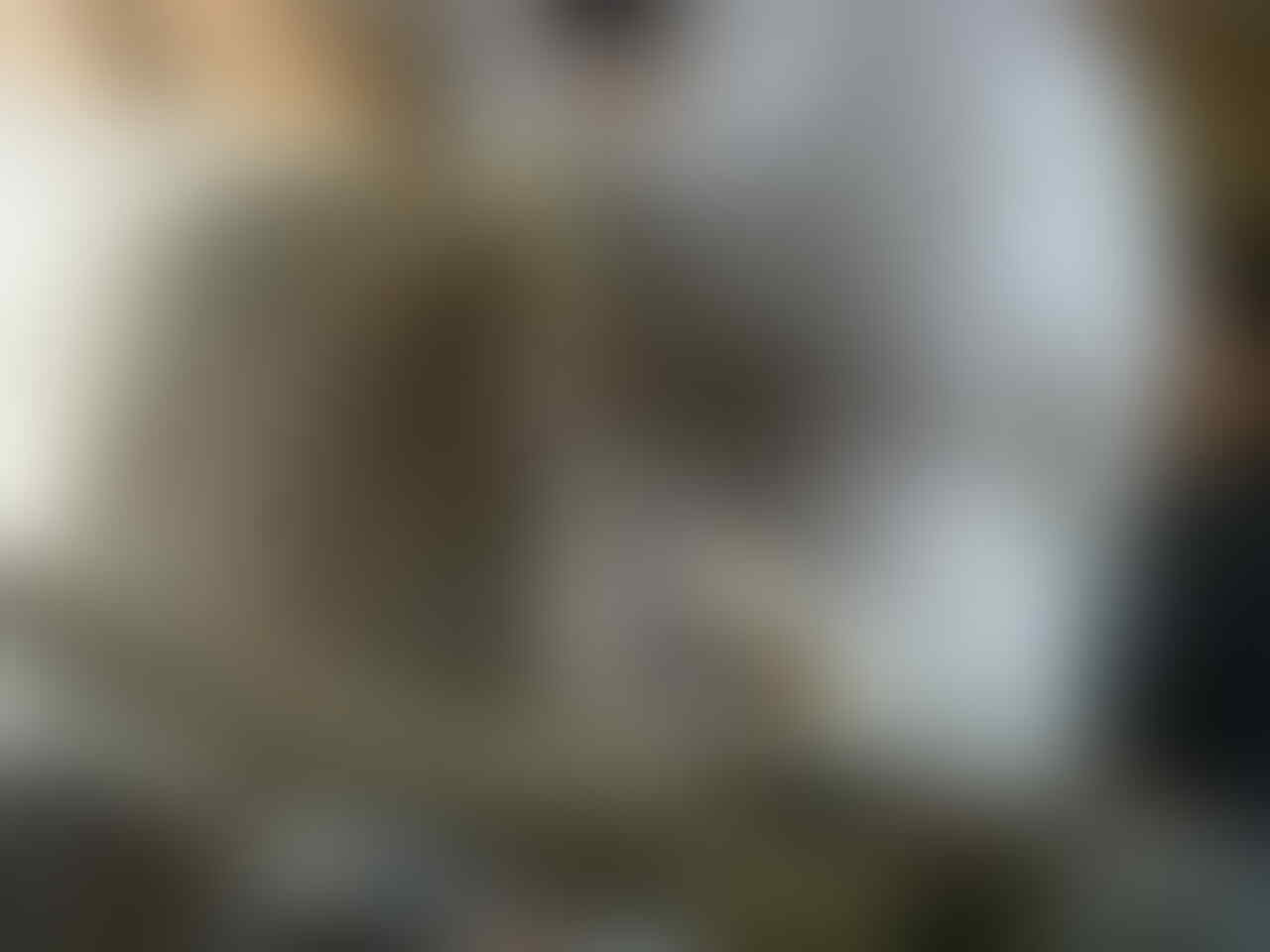 Terjual Burung Hantu Elang Alap Alap Kaskus