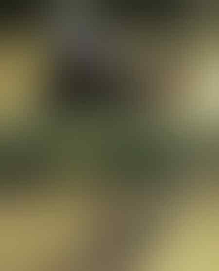 Foto-Foto Seram Yang Diambil Penuh Risiko!