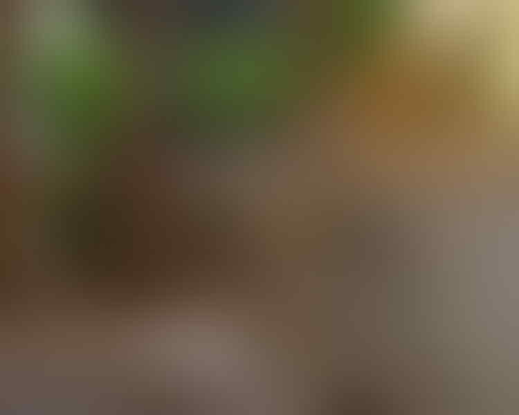 Jual Pesawat Aeromodelling Murah Harga Terbaru 2021 Tokopedia