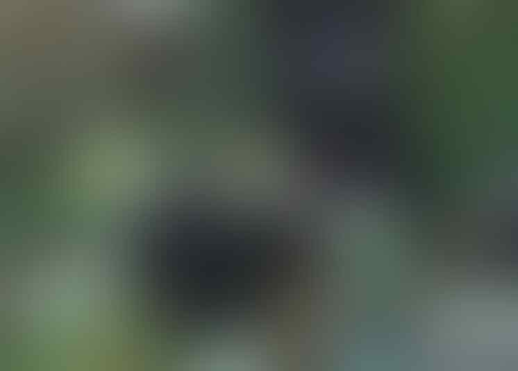 Rumah Lux Dijual BU