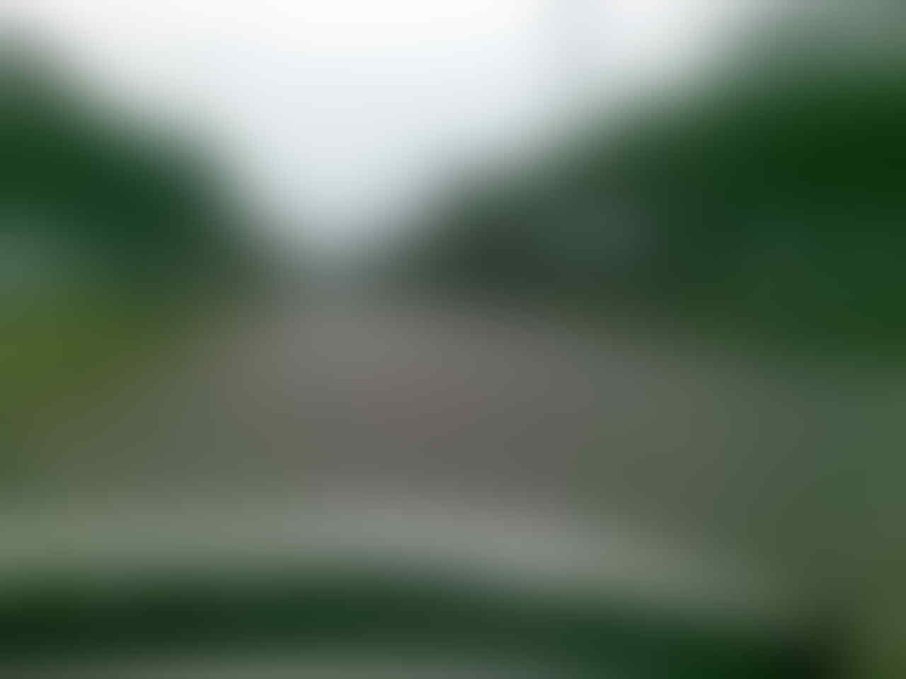 kaskus-image