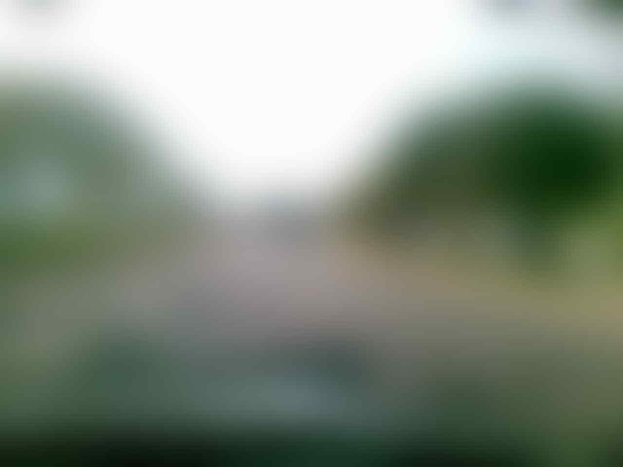 kaskus-image