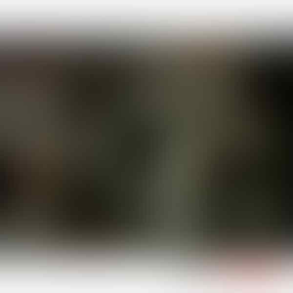Jual Blackberry 9860 Monza ( garansi CTN dan asuransi OkeSure )