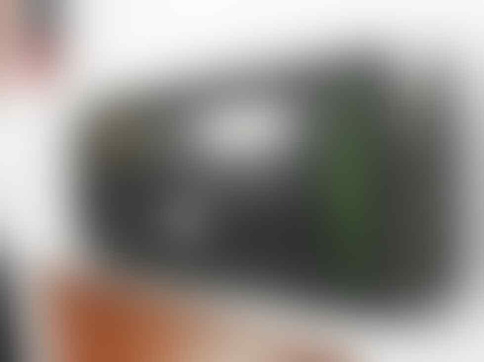 Blackberry Monza 9860 CTN