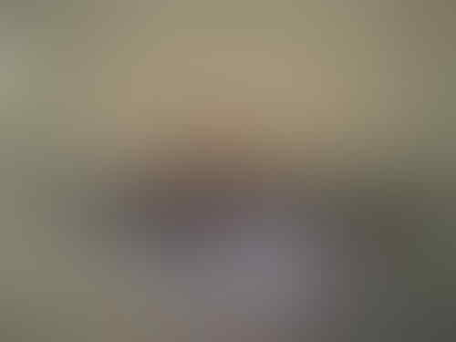 Jual Dell Streak 5"