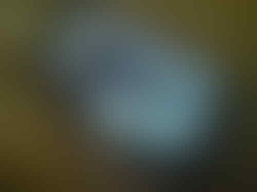 Jual Dell Streak 5"