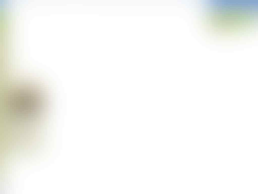 Jangan Pake Autosol atau Chrome gan