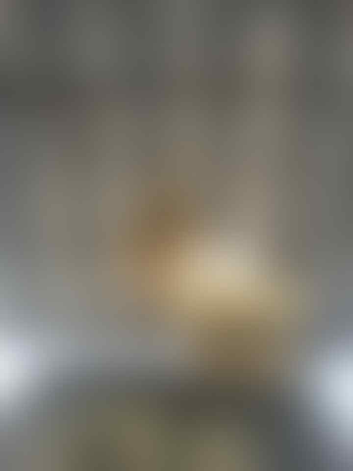 Terjual Jual Burung Manyar Kembang Malang Kaskus