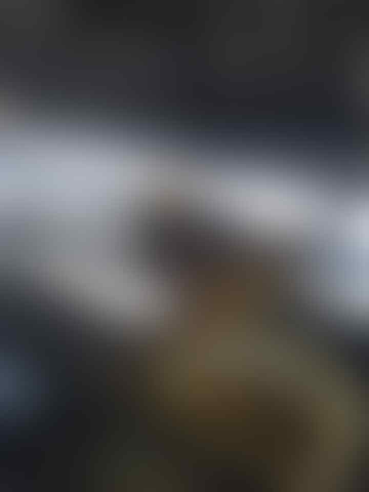 Terjual Jual Burung Manyar Kembang Malang Kaskus