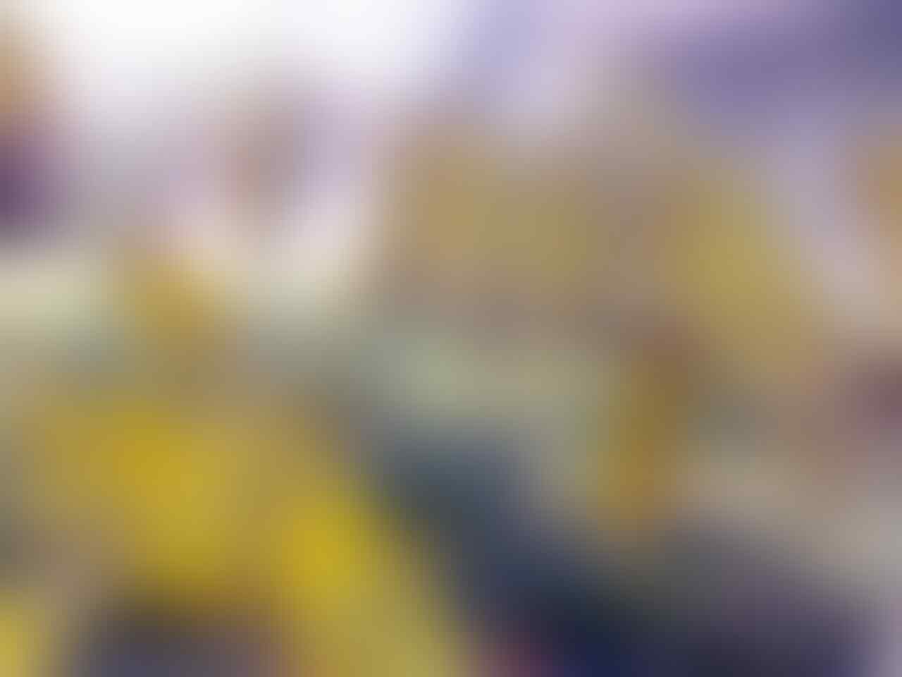 Terjual Jual Burung Parkit Indukan Mata Merah Albino Lutino