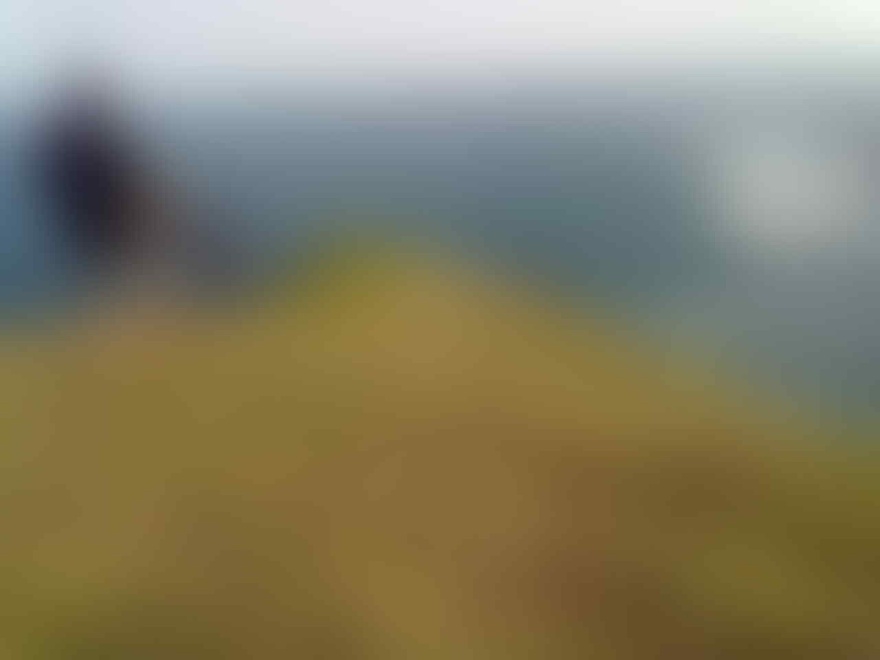 Selandia Baru? Bukan, Ini Kebumen!