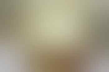 New HTC One Butterfly X XL X+ SV XL (32-64 GB)