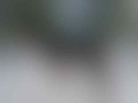 Terjual Jual Anjing Mix Doberman Rottweiler Semarang Kaskus