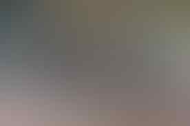 SOA SOA HEWAN PURBA DARI SULAWESI | KASKUS