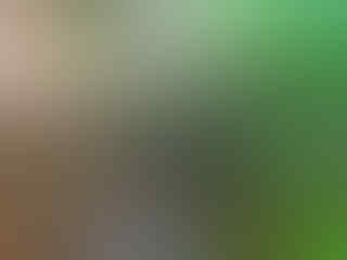 SOA SOA HEWAN PURBA DARI SULAWESI | KASKUS