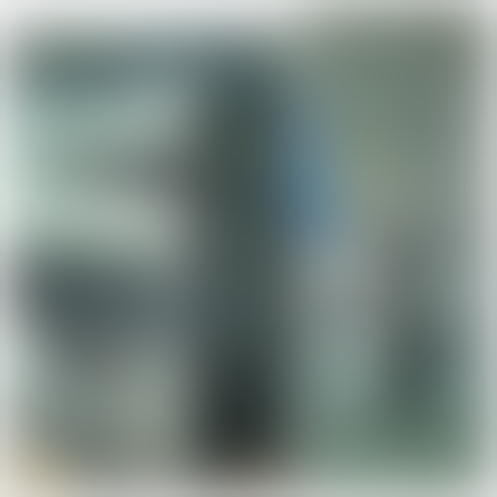 tourCT ibeats oem aa++monster beats_pro_studio_detox_ladyGAGA_jamz_mixr_wireless_PILL
