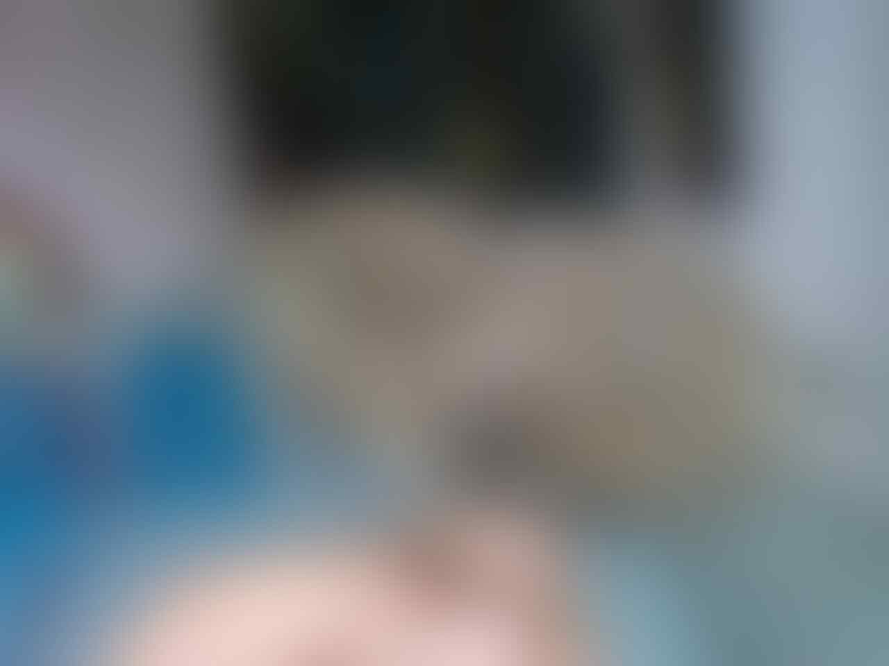 Yang Tanya Masuk Sini Semua Burung Page 154 Kaskus