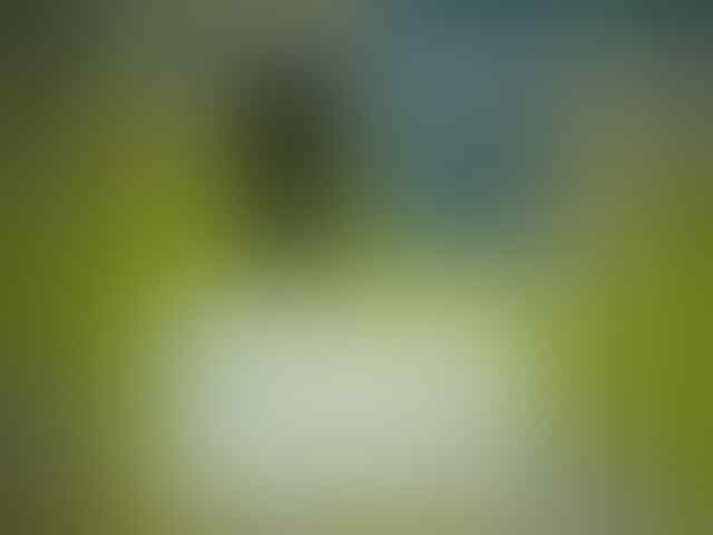 Cari Samsung SCH-W139 Second