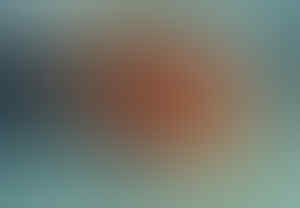 95 Gambar Hewan Tengu Terbaik Gambar Hewan