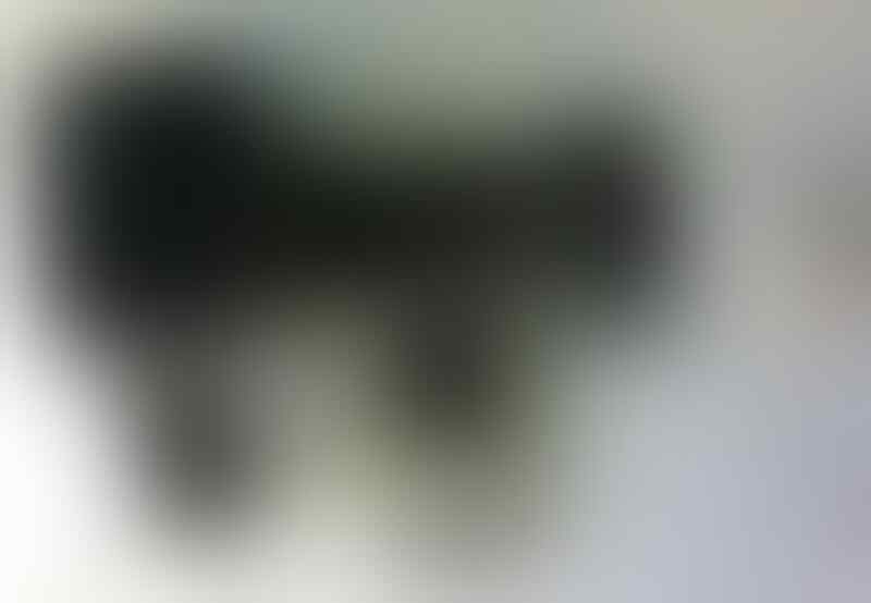 blackberry Torch 2 9810 aka Jennings (MURAH)