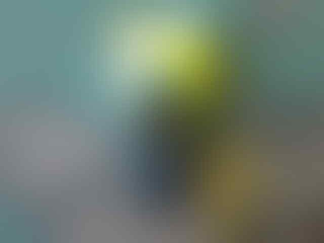 Nokia 2680 Slide