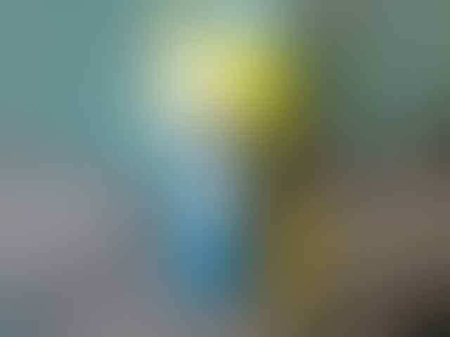 Nokia 2680 Slide