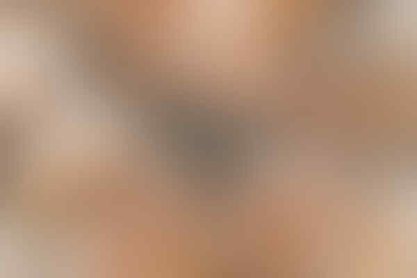 Foto-foto Makro Pertempuran Antar Semut