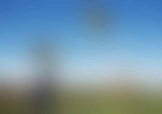 Penemuan-Penemuan Terbesar yang Terungkap Secara tidak Sengaja