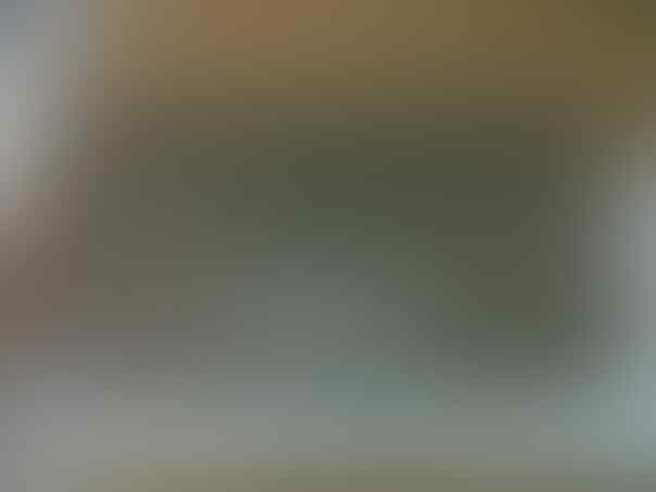 NDS i XL