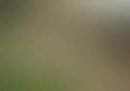 Ke Indahan Terasering Di Dunia