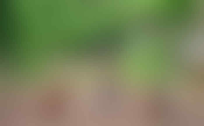 Hal-hal menyenangkan di masa kecil