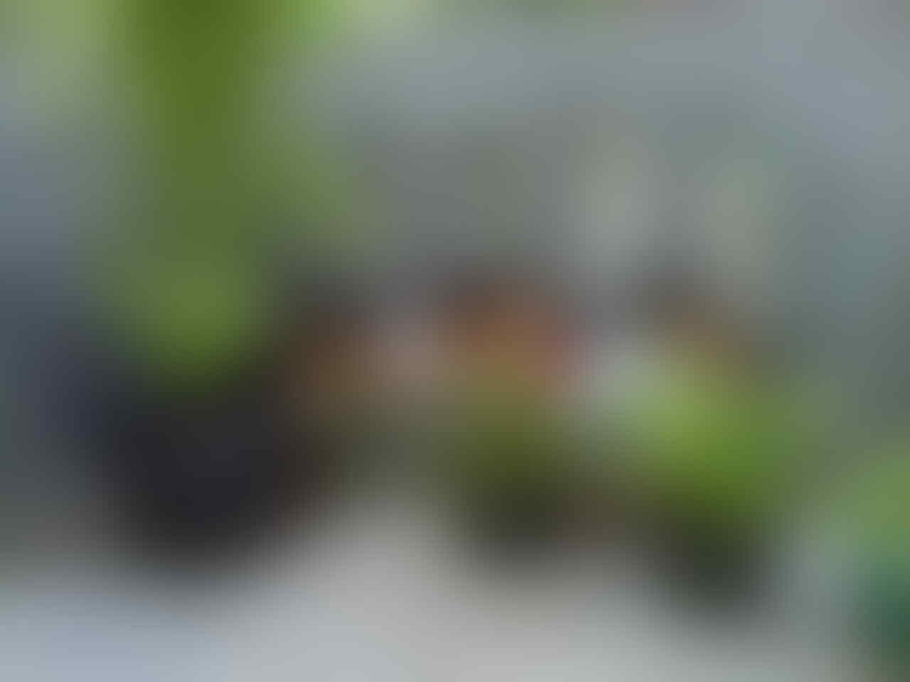Hal-hal menyenangkan di masa kecil