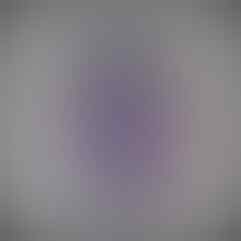 Jasa Download Torrent , Youtube dll ( Bandung )