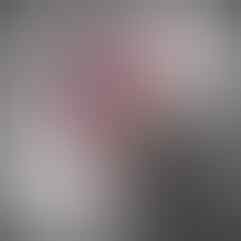 Jasa Download Torrent , Youtube dll ( Bandung )